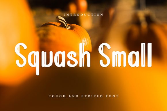 Squash Small: A Trendy Display Font for Modern Designs